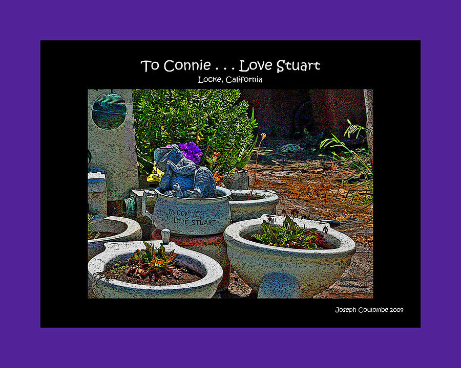 Garden Love Photograph by Joseph Coulombe