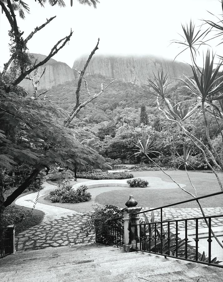 Garden Of Antonio Braga In Rio De Janeiro Photograph by Tom Leonard