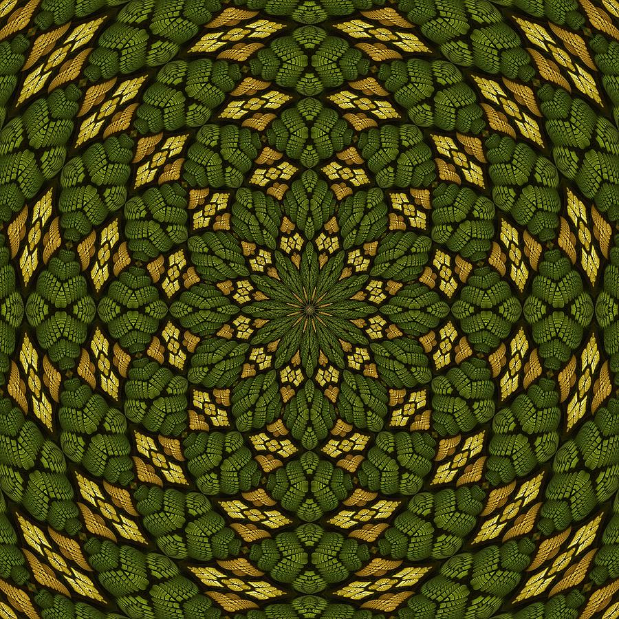 Garden of Delight Mandala Digital Art by Doug Morgan