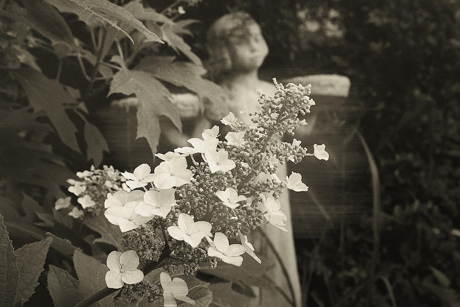 Garden of Good 1 Photograph by Toni Hopper