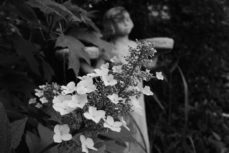 Garden of Good 2 Photograph by Toni Hopper