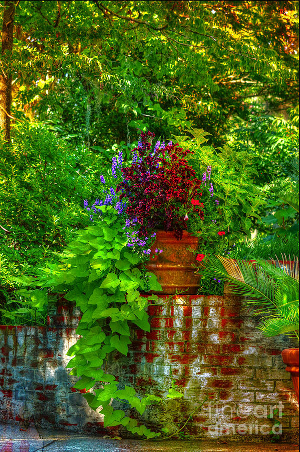 Garden Of Serenity Photograph by Kathy Baccari