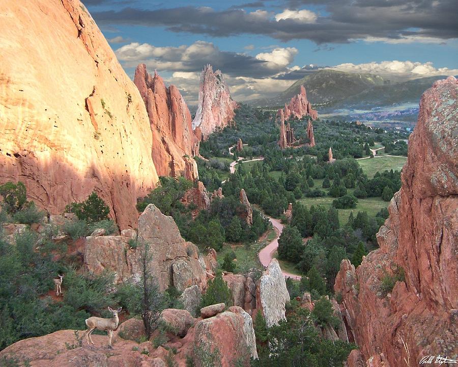Garden Of The Gods Photograph by Bill Stephens