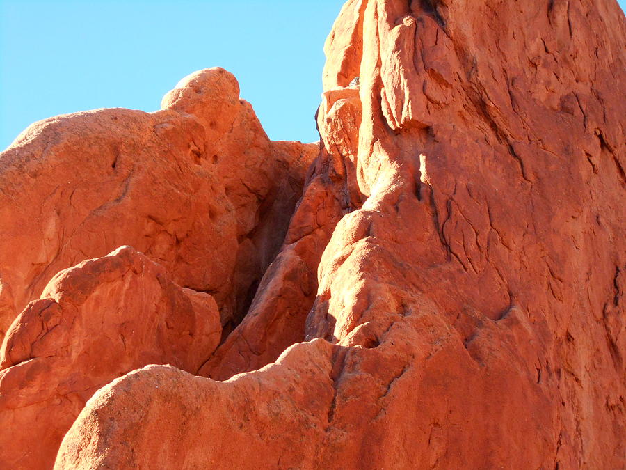 Garden of the Gods Photograph by Isabella McClellan