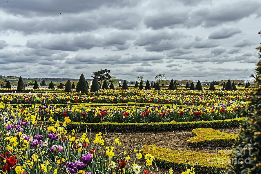 Garden of Versailles Photograph by Elvis Vaughn
