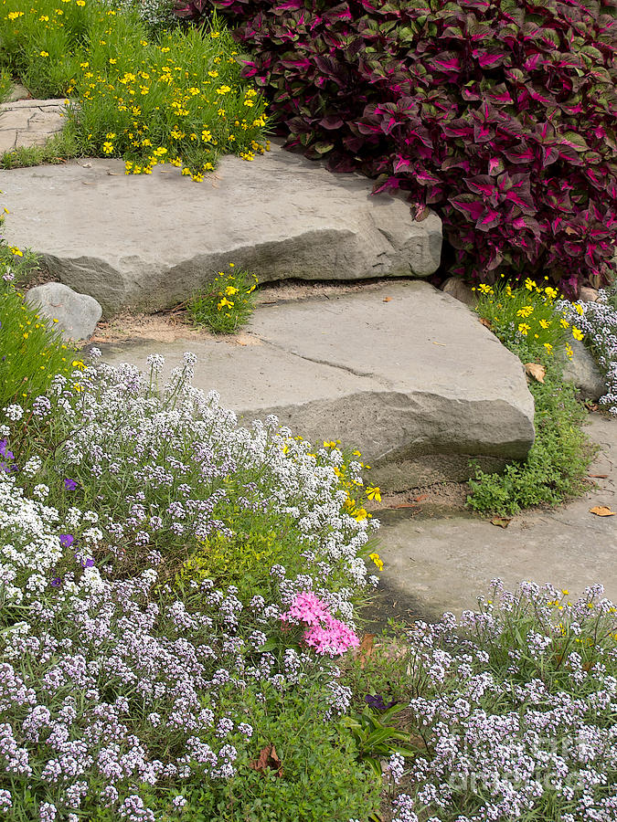 Garden Overflow Photograph by Ann Horn - Fine Art America