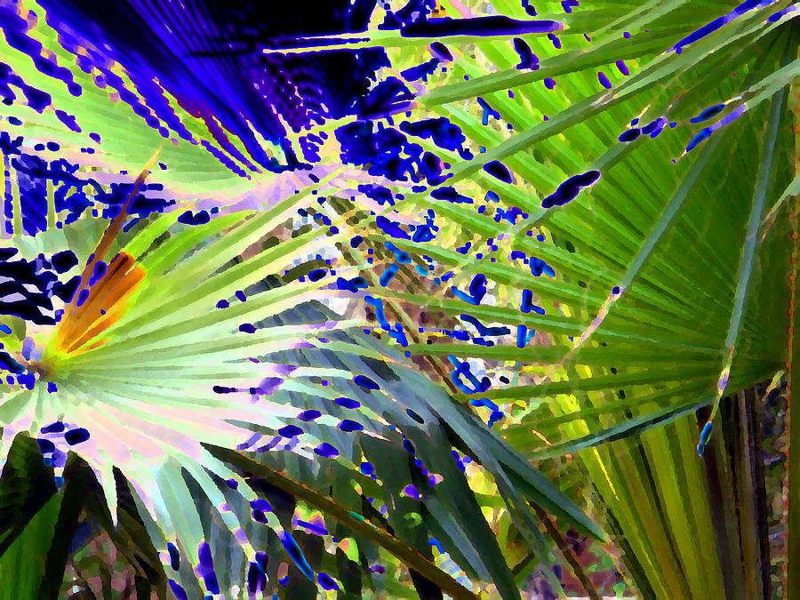 Garden Palms Digital Art by Eric Forster