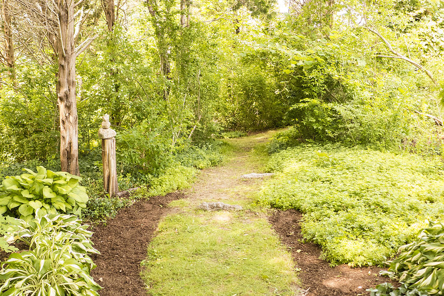 Garden Path Photograph by Frank Winters