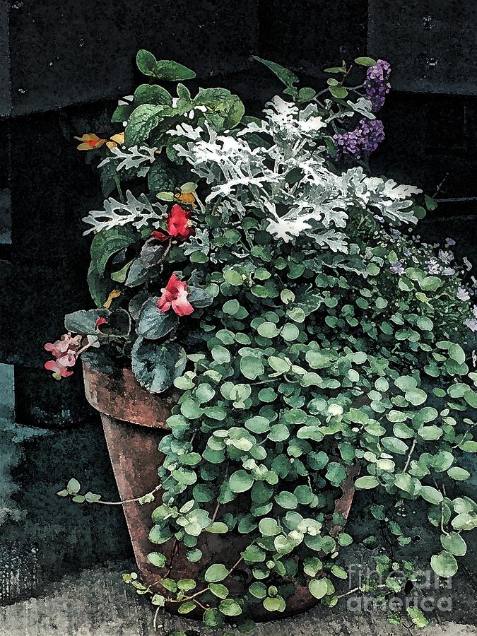 Garden Pot Photograph by Jacklyn Duryea Fraizer