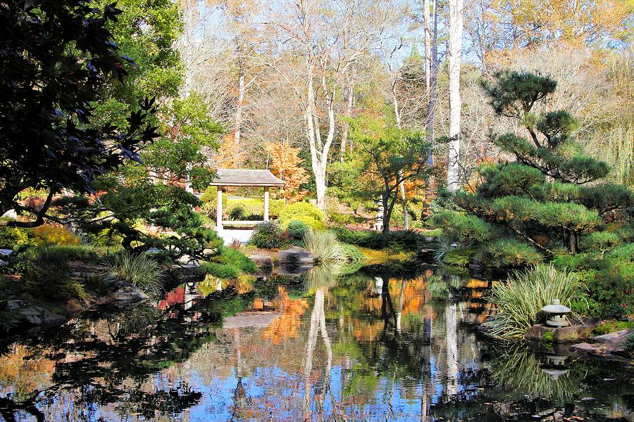 Garden Reflections Photograph