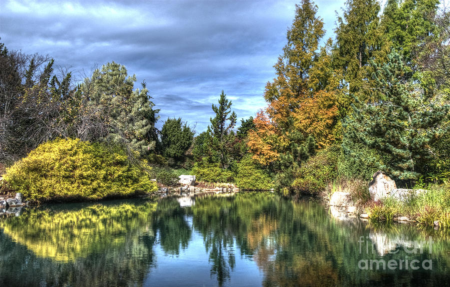 Garden Reflections by Terri Creasy Garden Reflections by Terri Creasy