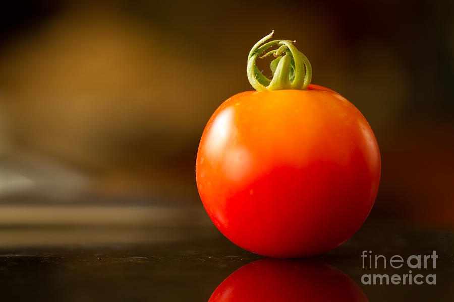 Tomato Photograph - Garden Ripe Tomato by Randy Wood