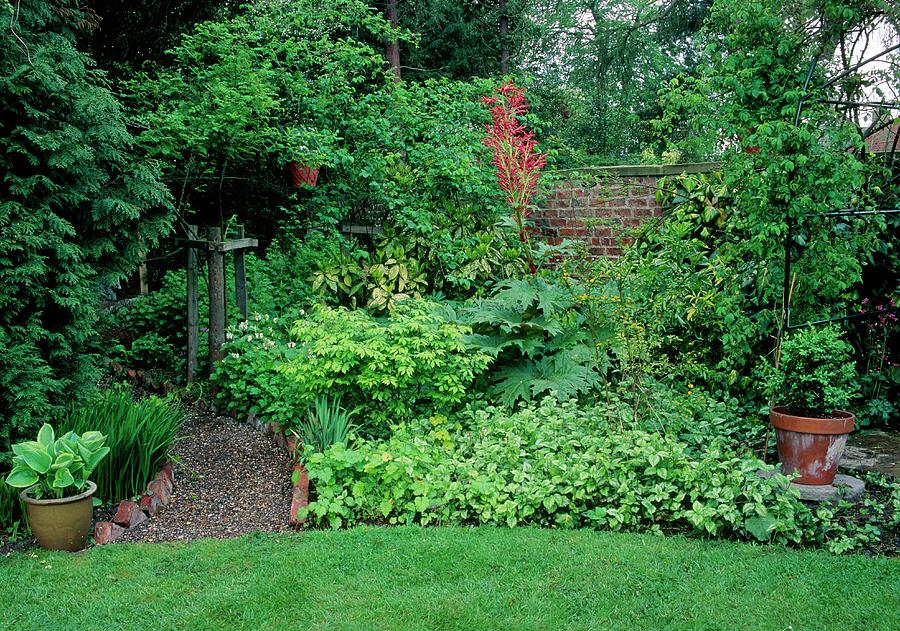 Garden Scene. Photograph by Adrian Thomas/science Photo Library