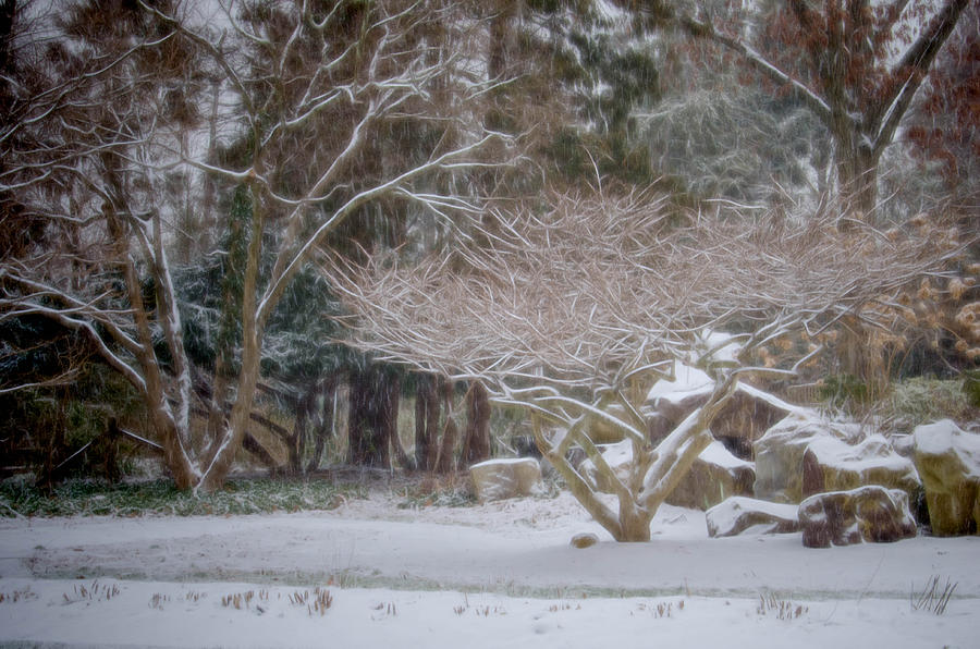 Garden Scene During Winter Snow at Sayen Gardens 2 Photograph by Beth Sawickie