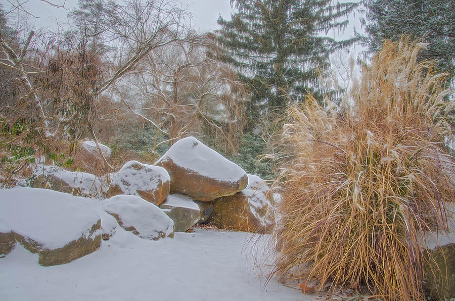 Garden Scene During Winter Snow at Sayen Gardens Photograph by Beth Venner