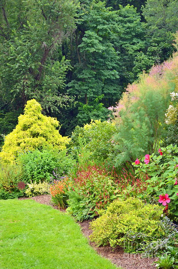 Garden Scene with Trees Flowers and Shrubs Digital Art by Eva Kaufman ...