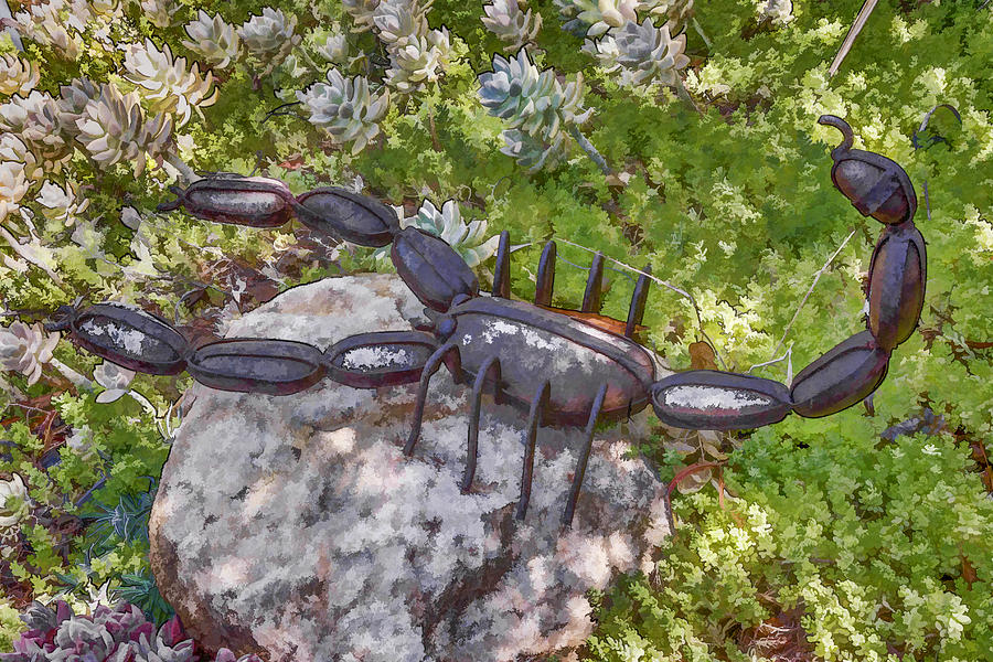 Garden Scorpion Digital Art by Photographic Art by Russel Ray Photos