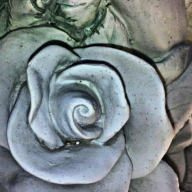 Garden Sculpture / Flower / Rose Photograph by Elisa Franzetta