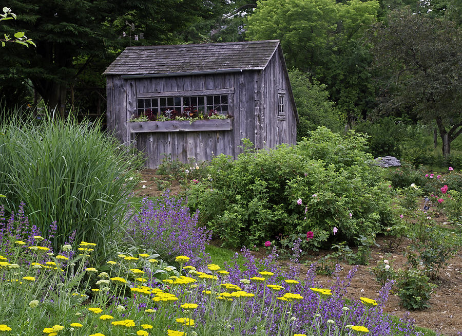Garden shed Photograph by David Freuthal