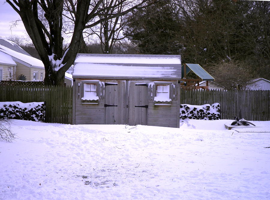 Tree Photograph - Garden Shed in Winter by Kate Gallagher