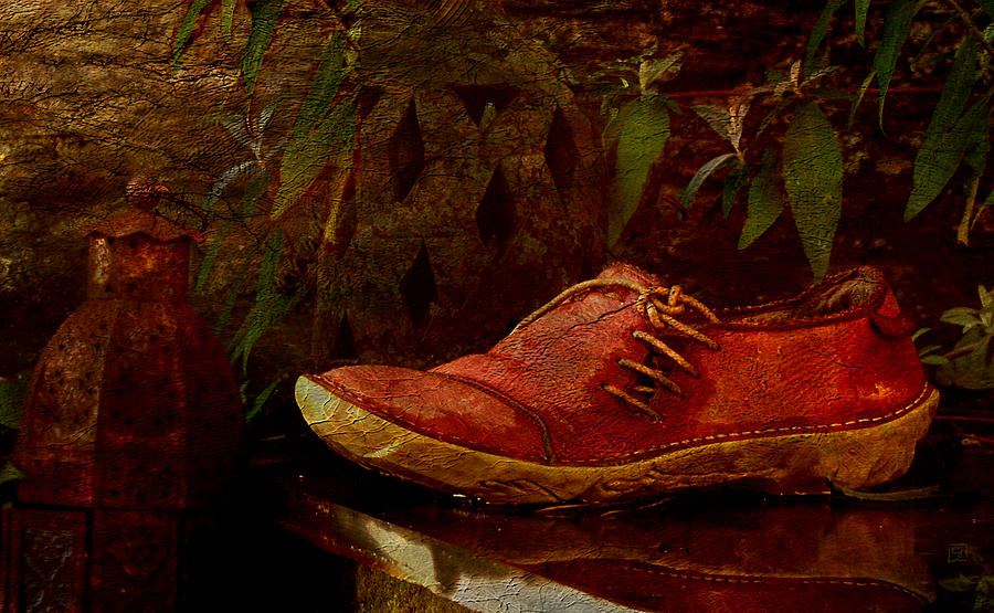 Garden Shoe Next to Koi Pond Digital Art by Jean Moore