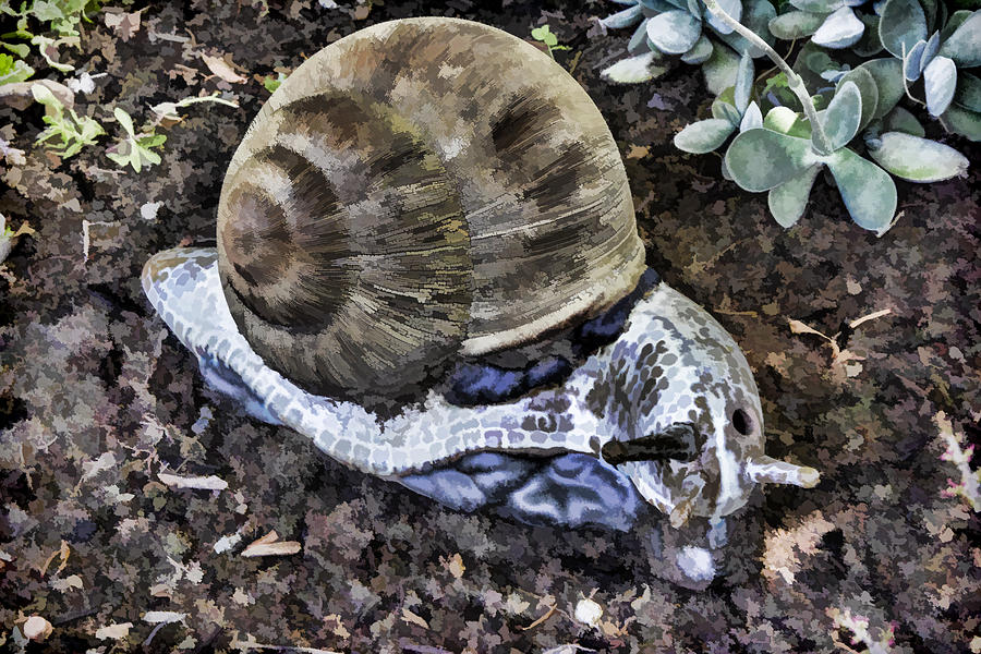 Garden Snail Digital Art by Photographic Art by Russel Ray Photos