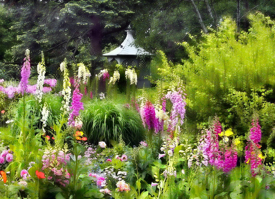 Garden Splendor Photograph by Jessica Jenney
