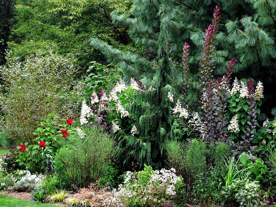 Garden Spread Photograph by Deborah  Crew-Johnson