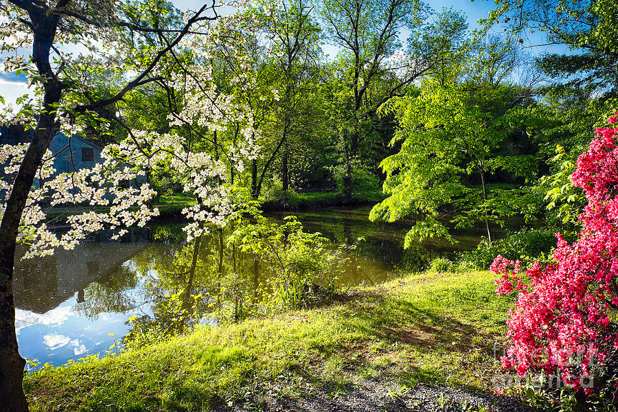 Spring Photograph - Garden State Spring at the Canal by George Oze