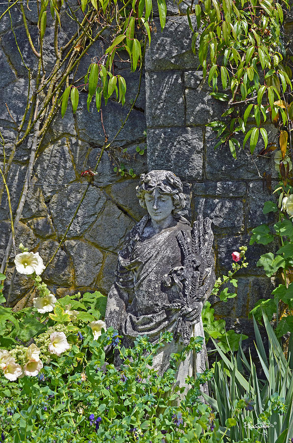 Garden Statue Photograph by Shanna Hyatt