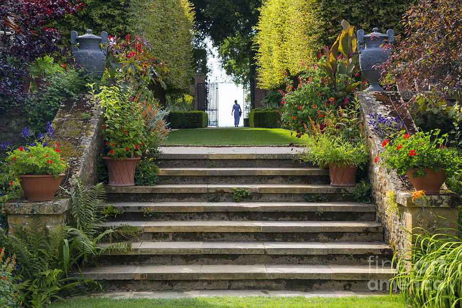 Garden Steps Photograph by Brian Jannsen