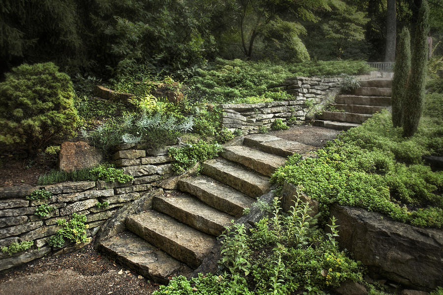 Fine Photograph - Garden Steps by Tom Mc Nemar Fine Photograph - Garden Steps by Tom Mc Nemar