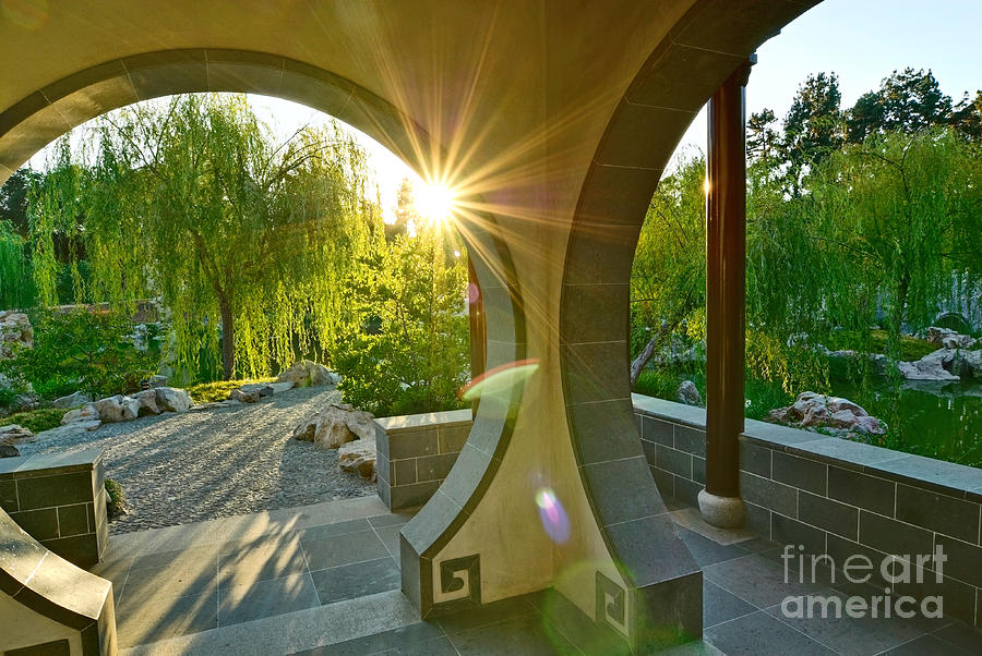 Tree Photograph - Garden Sun - Beautiful Chinese Garden at the Huntington Library. by Jamie Pham