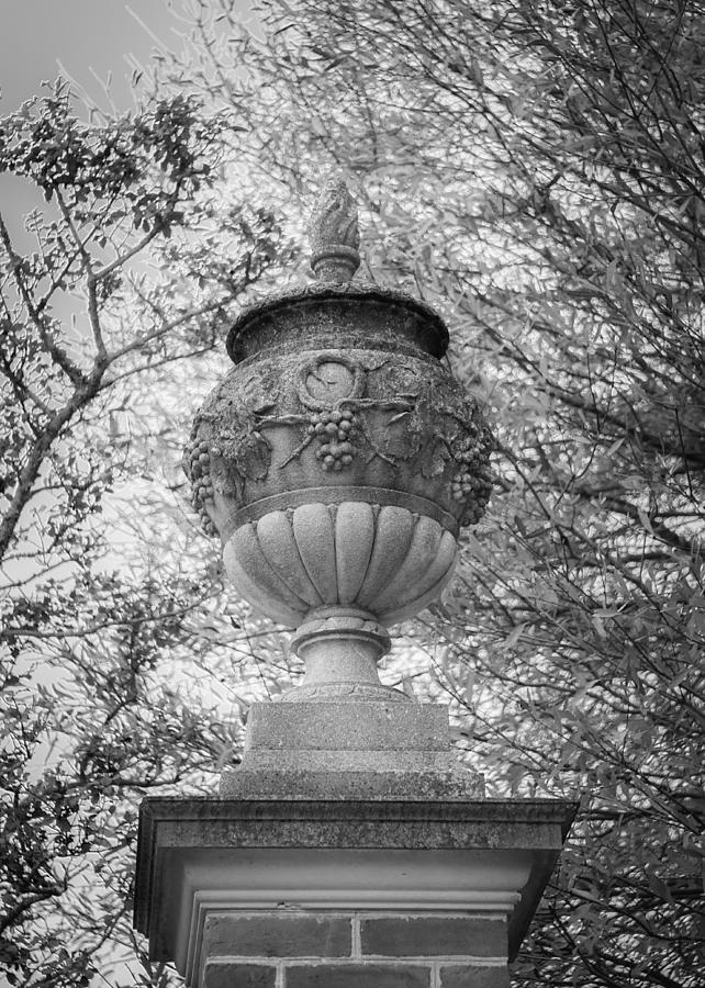 Garden Urn Colonial Williamsburg Photograph by Teresa Mucha