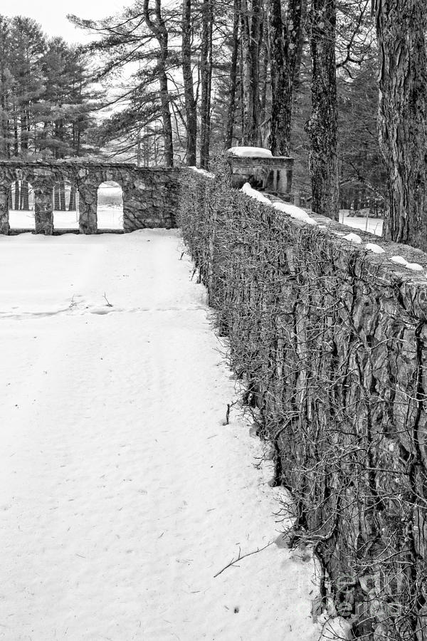 Garden Wall The Mount in Winter Photograph by Edward Fielding