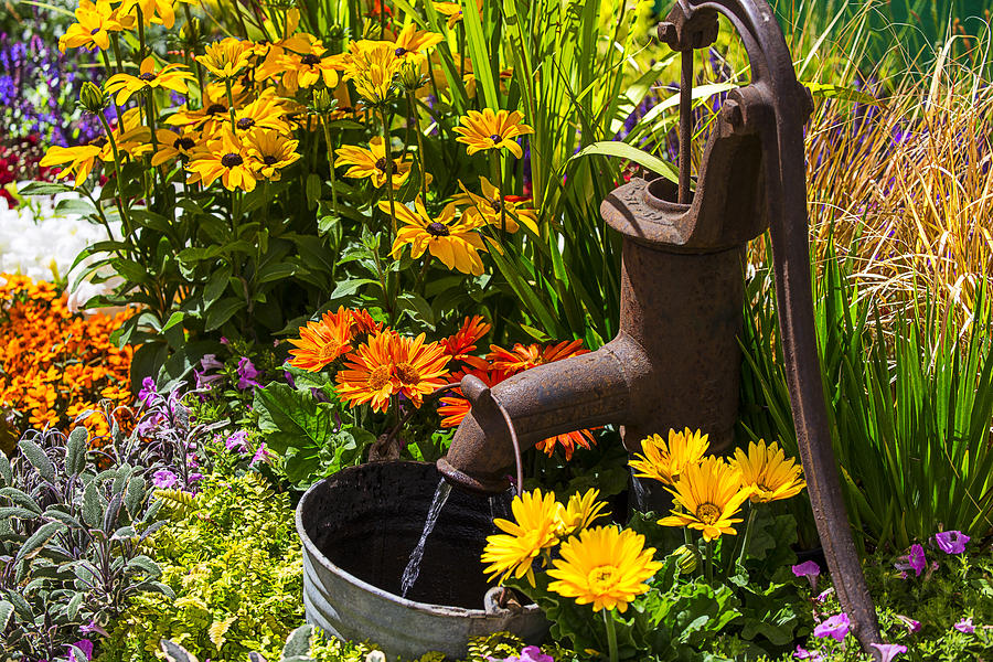 Garden Water Pump Photograph by Garry Gay