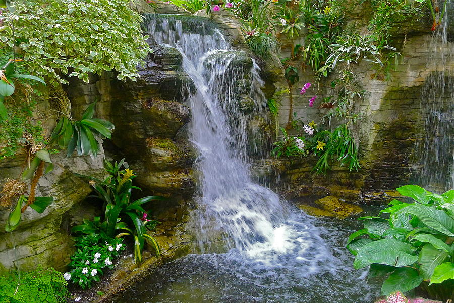 Garden Waterfall Photograph by Denise Mazzocco - Fine Art America