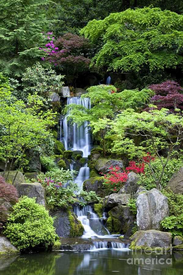 Garden Waterfalls Photograph by Brian Jannsen
