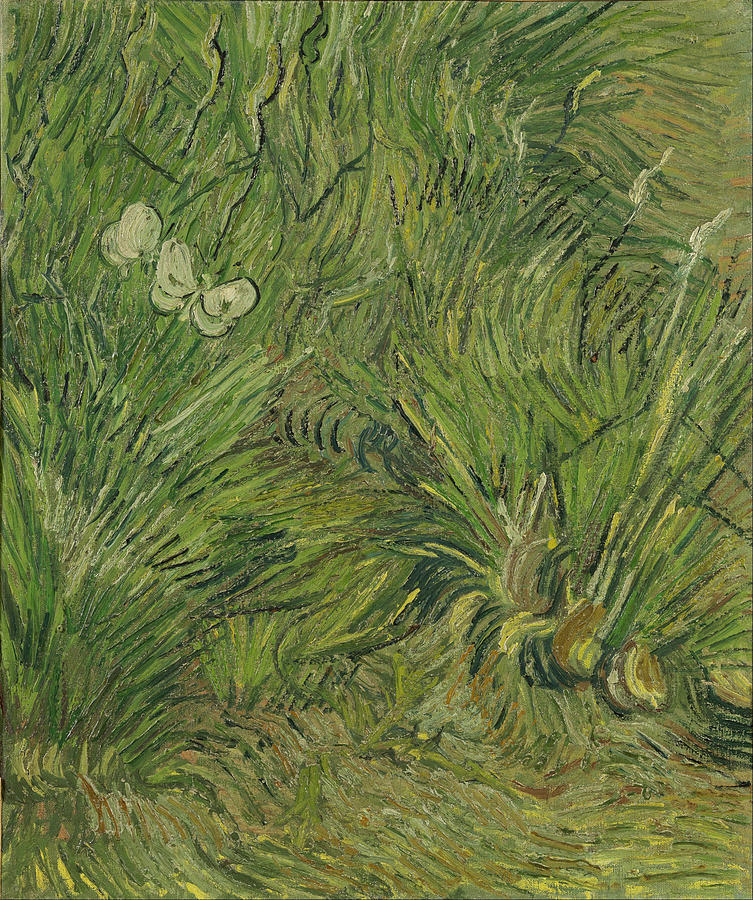Garden With Butterflies Painting by Vincent Van Gogh
