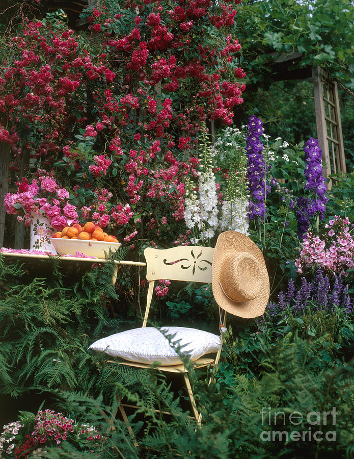 Garden With Chair Photograph by Hans Reinhard