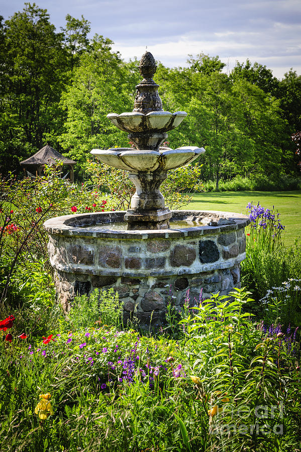 Garden with fountain Photograph by Elena Elisseeva
