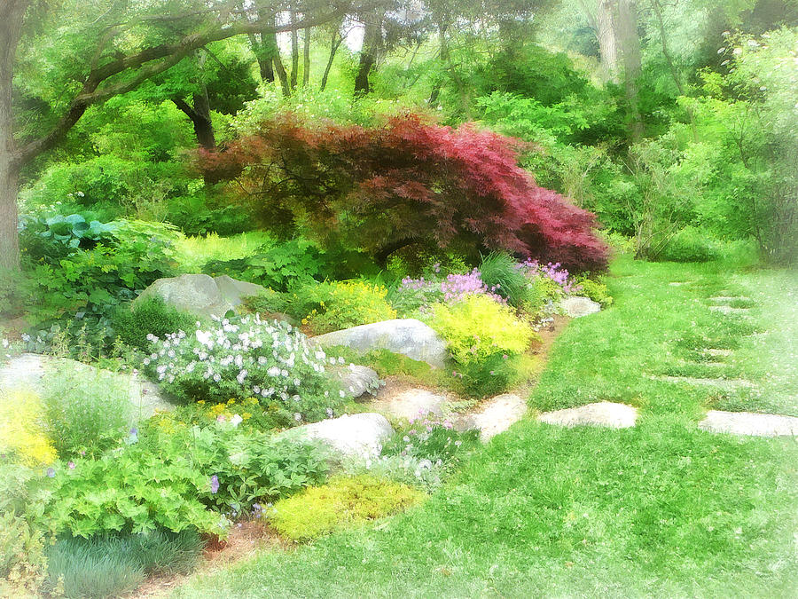 Tree Photograph - Garden With Japanese Maple by Susan Savad