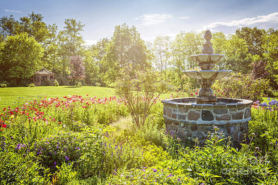 Flower Photograph - Garden with stone fountain by Elena Elisseeva