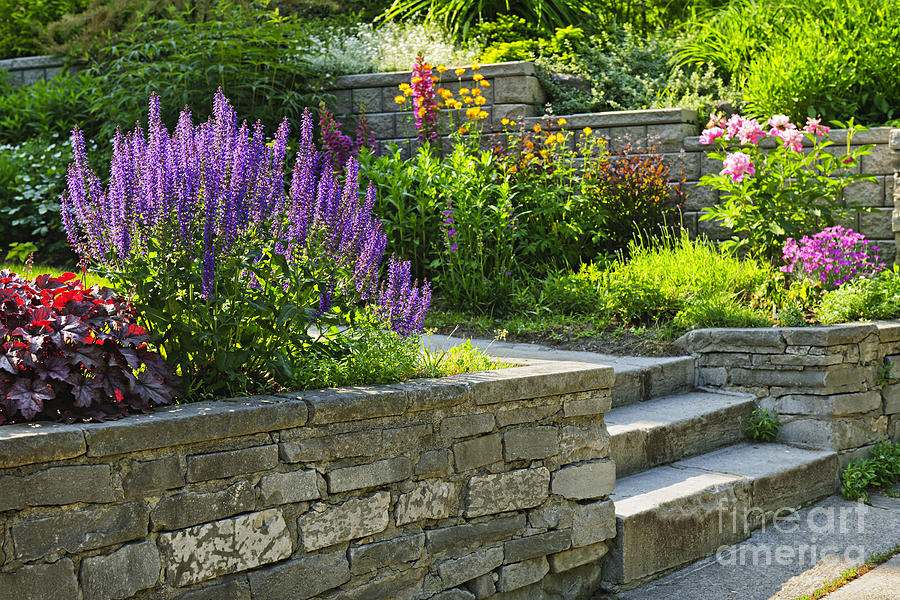 Garden with stone landscaping Photograph by Elena Elisseeva