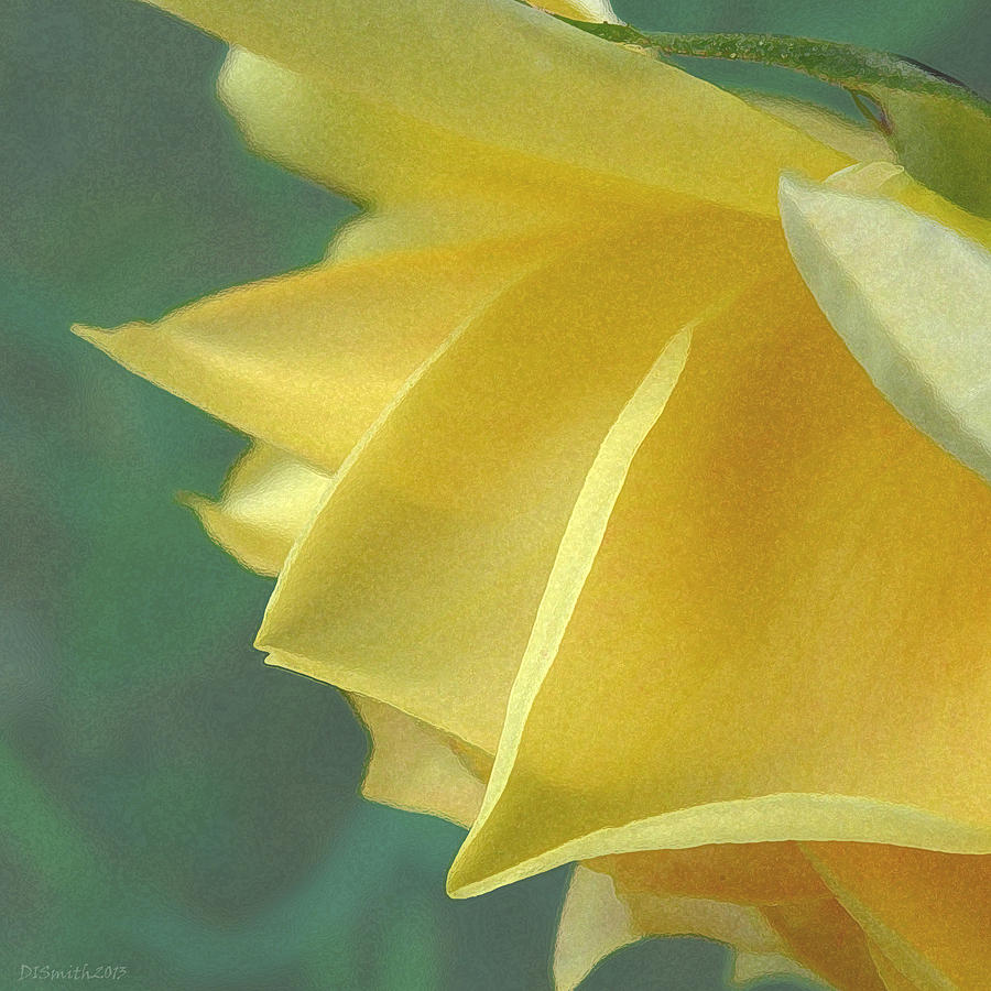 Garden Yellow Photograph by Deborah Smith