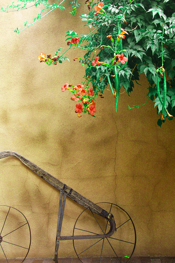Gardeners Adobe Wall Photograph by Steven Bateson