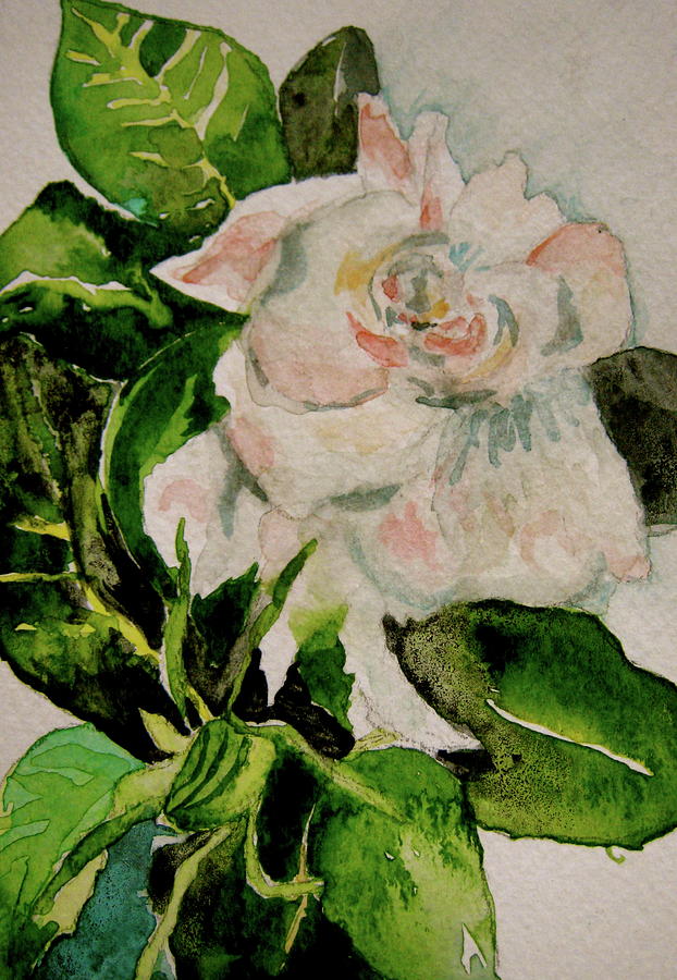 Gardenia 1 Painting by Beverley Harper Tinsley