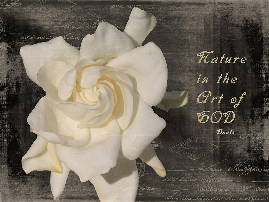 Gardenia And Quote Photograph
