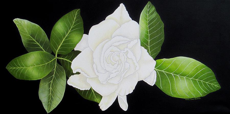 Gardenia Flower Painting by Carol Sabo