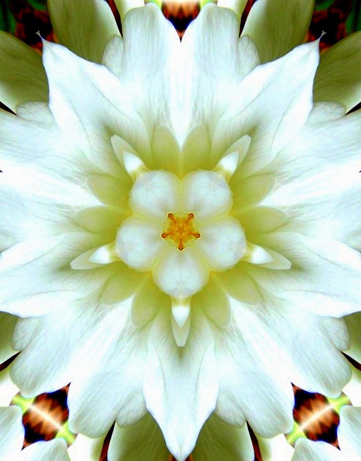 Gardenia Kaleidoscope 1 Photograph by Sheri McLeroy